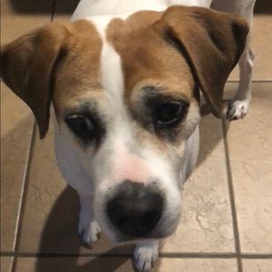 Meet your Posher, Karla